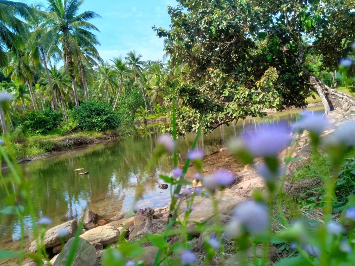 Walk In Homestay Ko Kut Luaran gambar